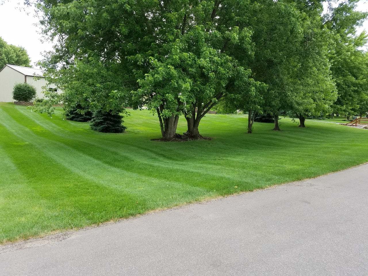 Lawn Striper for Hustler FasTrak with 60" mower deck, model year 2017