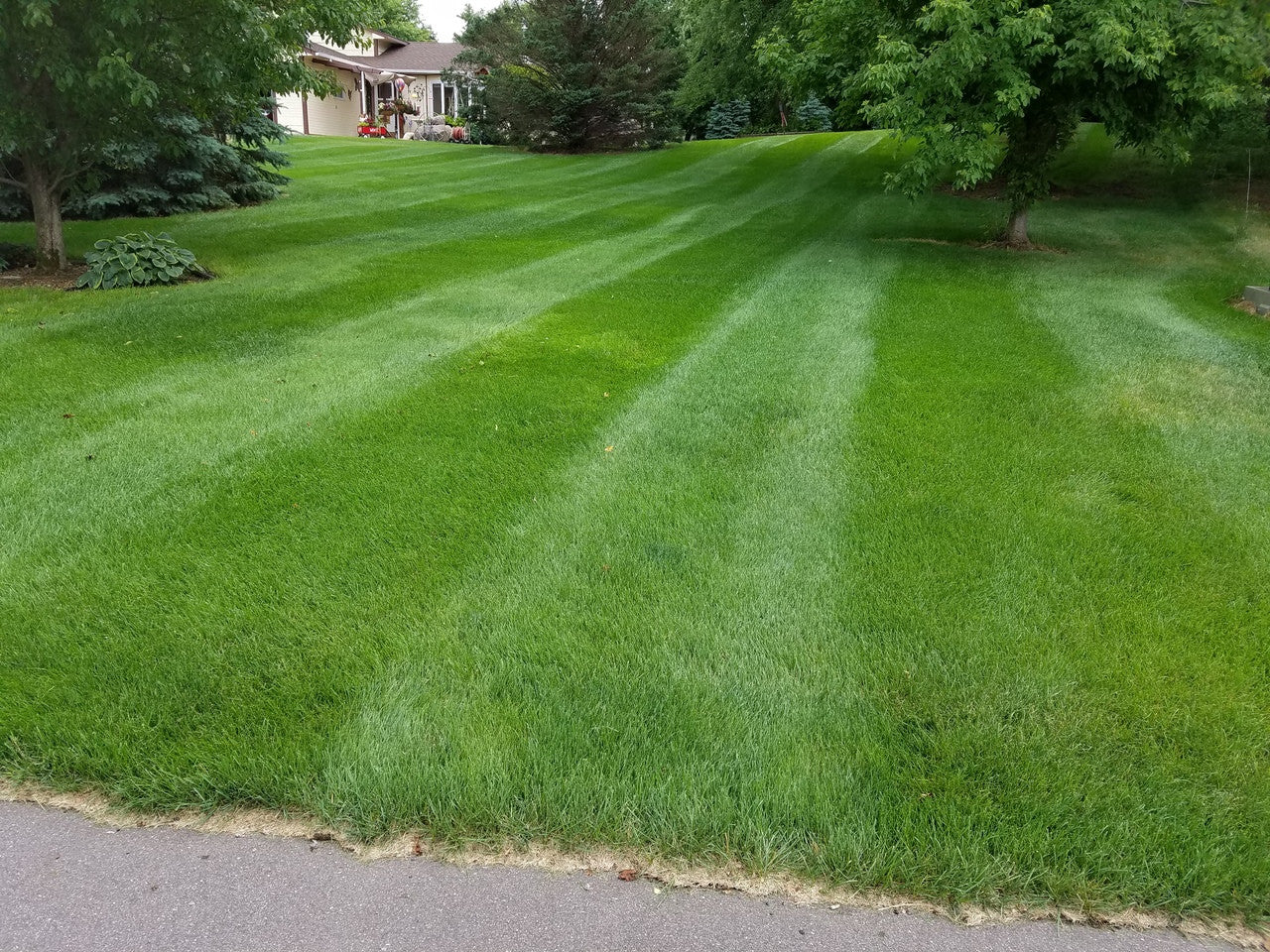 Lawn Striper for Hustler FasTrak with 60" mower deck, model year 2017