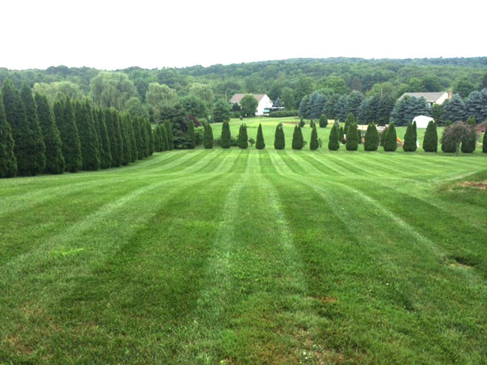 Lawn Roller Striping Kit For 2006 John Deere 727A Z-Trak with 54" 7 Iron deck