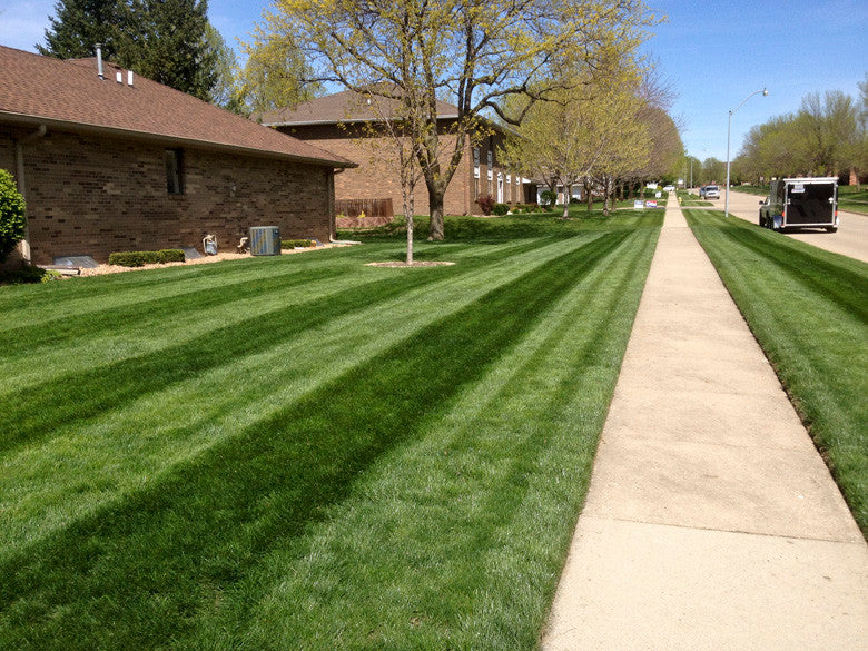 30 lawn online striper